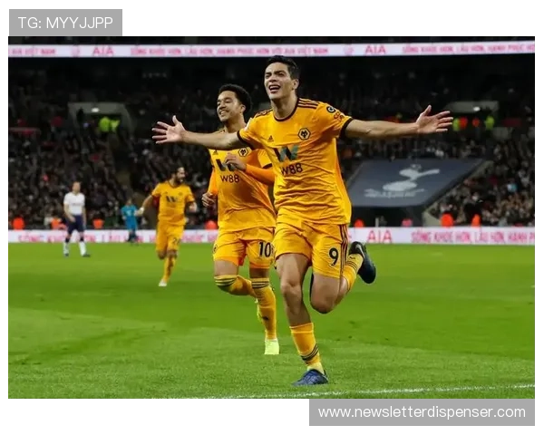 纽卡斯尔联本赛季英超表现稳健，竞争力持续提升