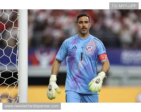 智利队球员状态