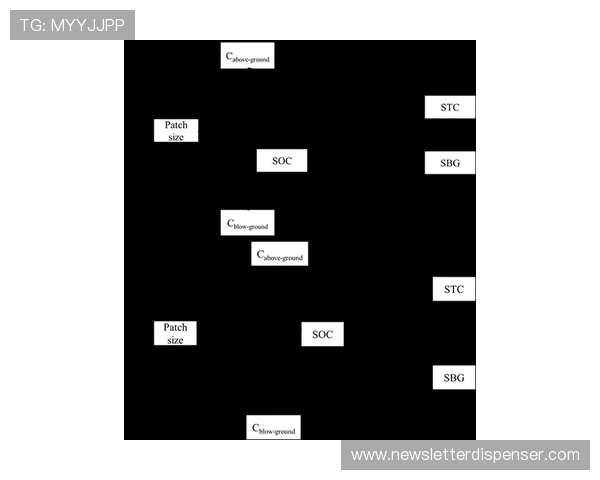 奥尔莫肋部渗透与小范围配合解析